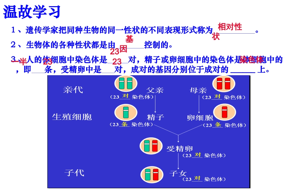 基因的显性和隐性生物课件1_第2页