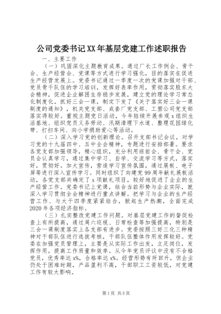 公司党委书记XX年基层党建工作述职报告