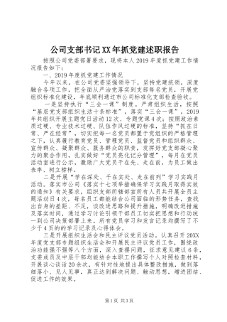 公司支部书记XX年抓党建述职报告