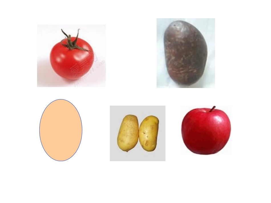 人教版五年级下册第三单元求不规则物体的体1_第2页