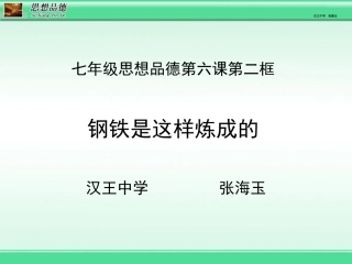 钢铁是这样炼成的-张海玉