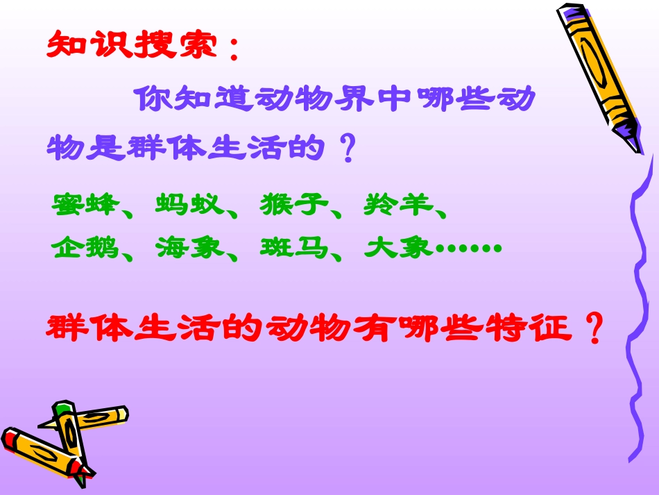 《社会行为》课件1_第2页