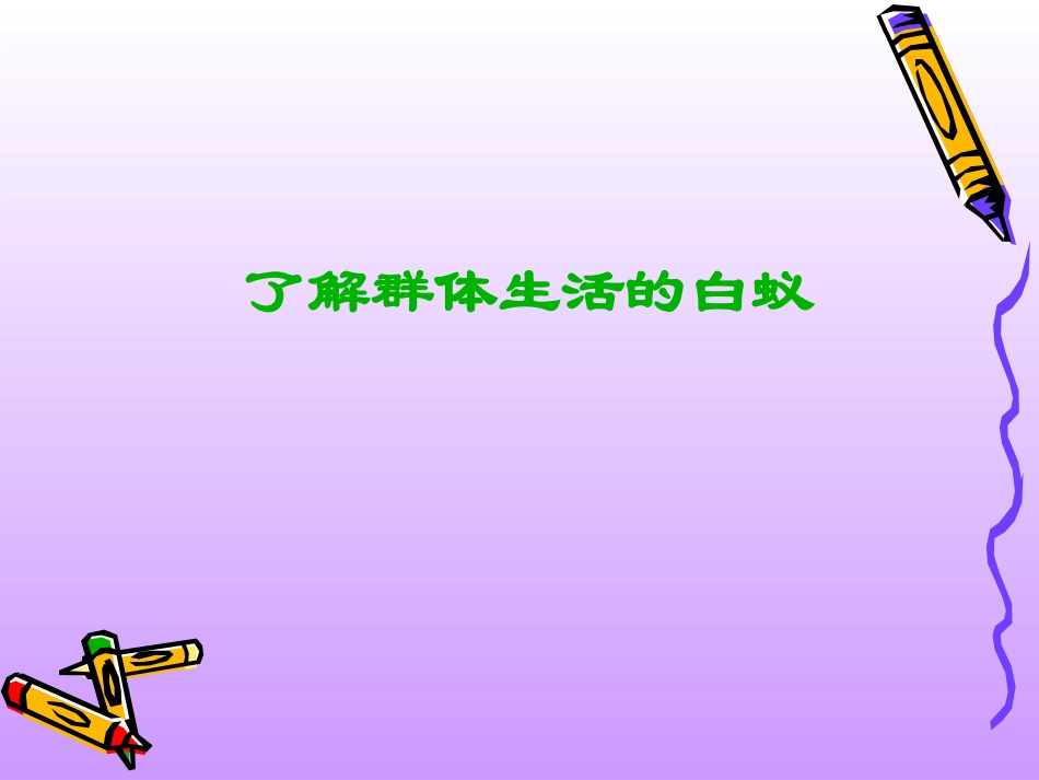 《社会行为》课件1_第3页