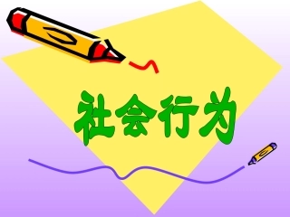 《社会行为》课件1