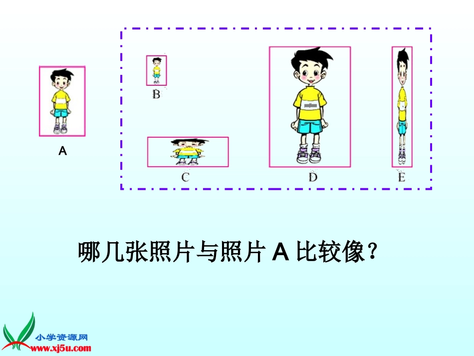 《生活中的比》PPT课件_第2页