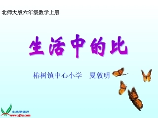 《生活中的比》PPT课件