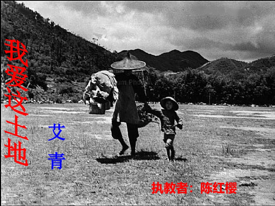 我爱这土地课件1(陈红樱上课)_第1页