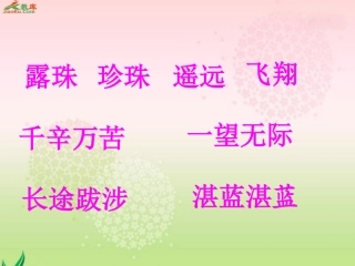 小露珠课件 (2)