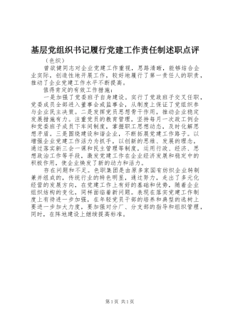 基层党组织书记履行党建工作责任制述职点评