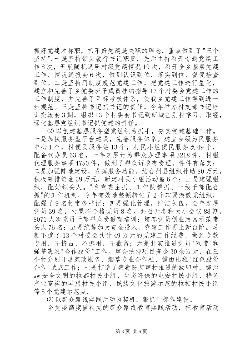 乡党委书记个人述职述廉报告_第3页