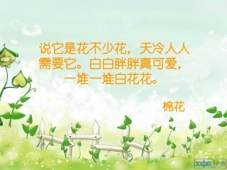 人教版语文一年级下册30《棉花姑娘》课件