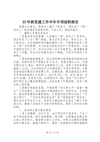 XX年抓党建工作半年专项述职报告
