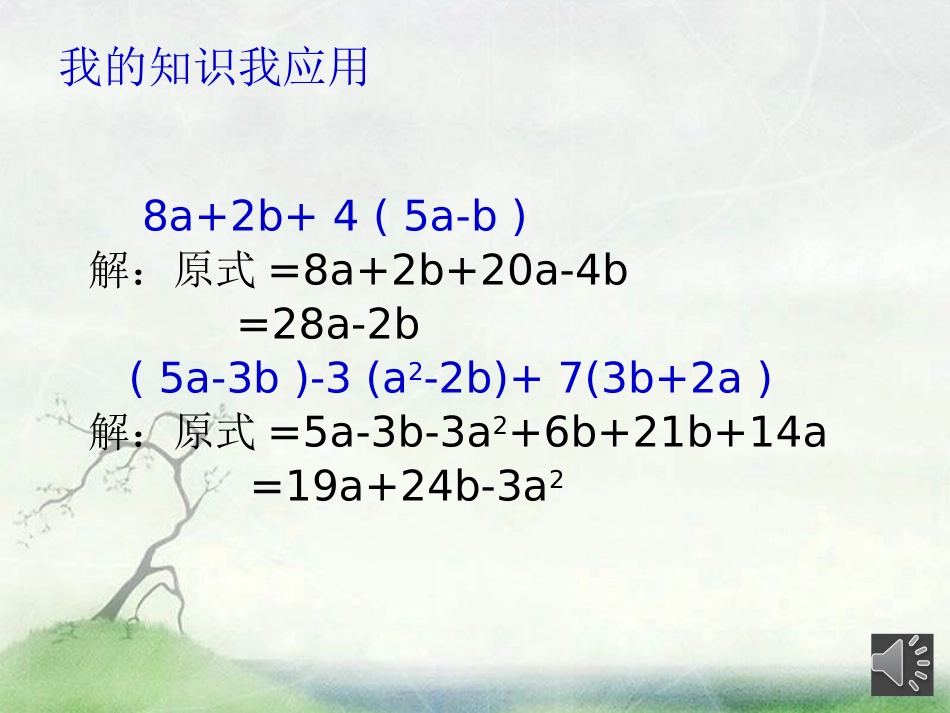 整式的加减（二）微_第3页