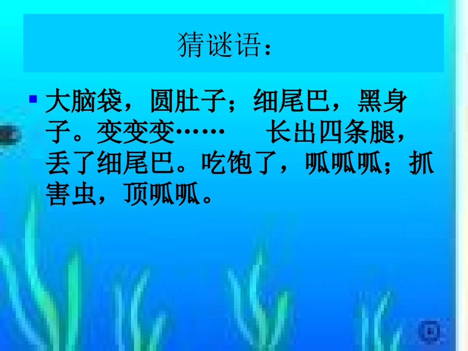 小蝌蚪找妈妈 (5)_第2页