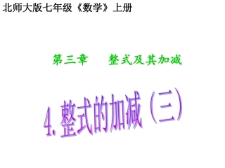 整式的加减（3） (2)