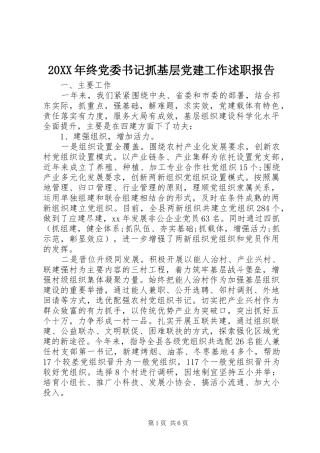 20XX年终党委书记抓基层党建工作述职报告