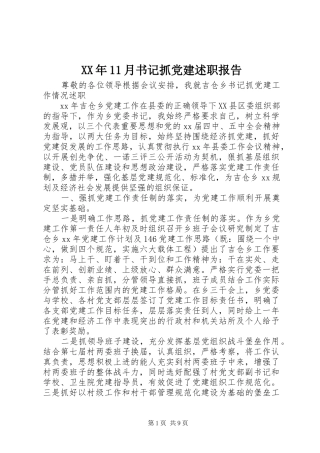 XX年11月书记抓党建述职报告