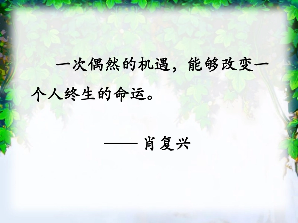 四年级上语文课件-那片绿绿的爬山虎-人教版_第2页