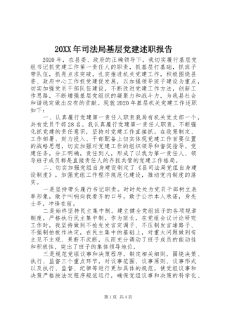 20XX年司法局基层党建述职报告