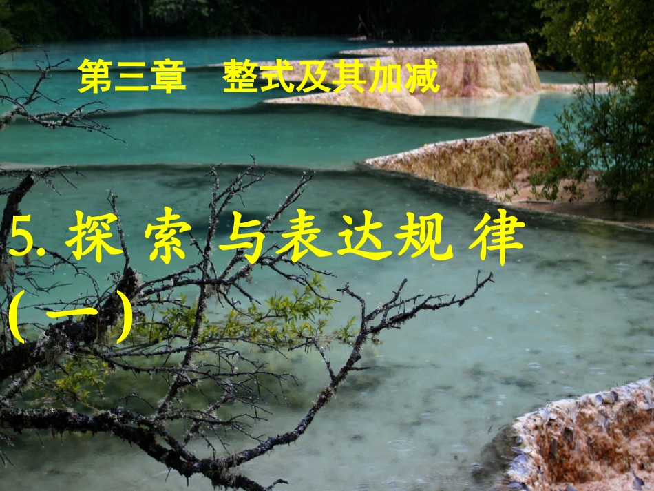 探索规律讲课最新 (5)_第1页