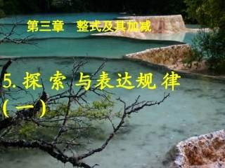 探索规律讲课最新 (5)