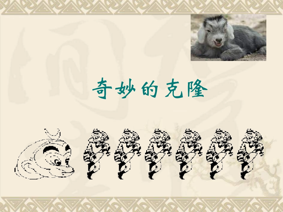 《奇妙的克隆》课件3_第1页