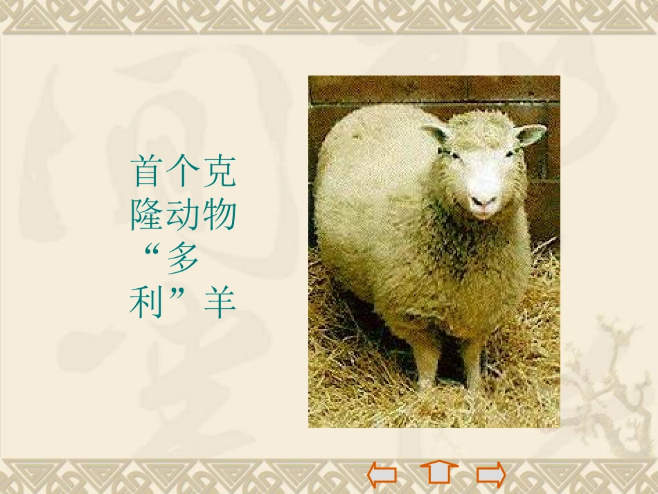 《奇妙的克隆》课件3_第3页