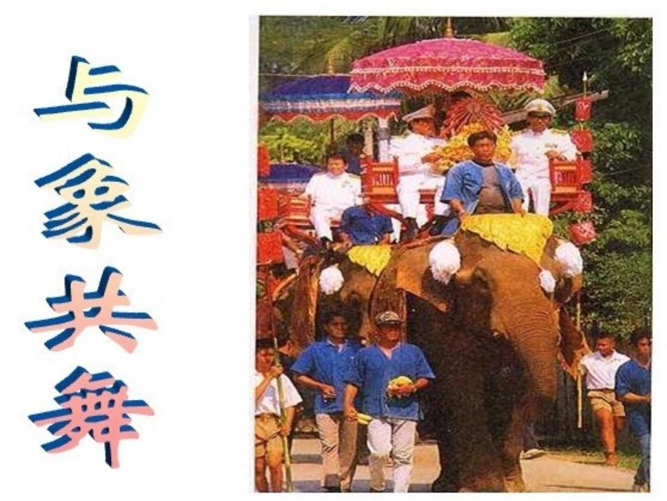 与象共舞(开课专用)_第3页