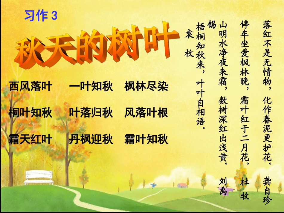 习作3秋天的树叶_第1页