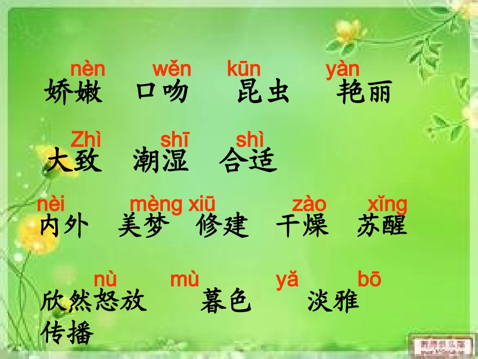 三年级语文上册第四组13花钟第一课时课件_第2页