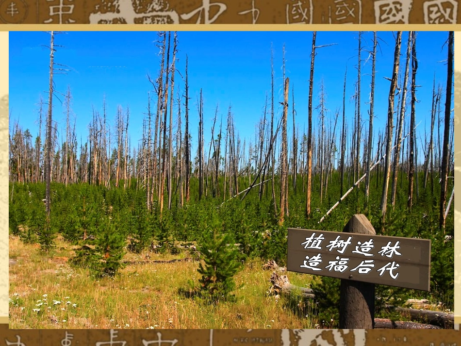 人教新课标数学六年级上册《用百分数解决问题_例1-3》PPT课件[1]_第3页