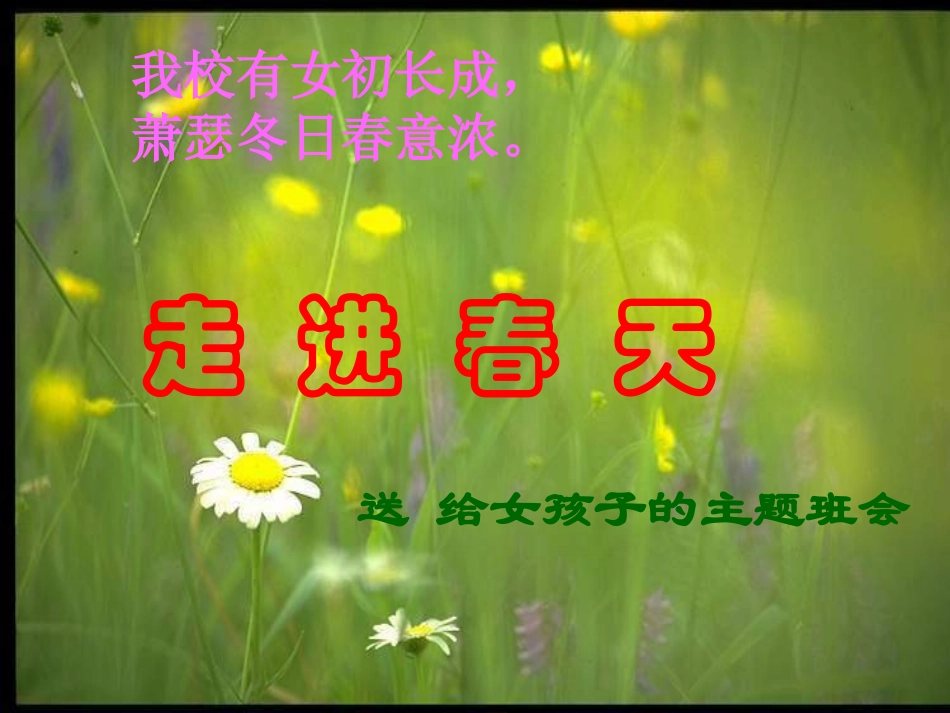 拥抱青春--讲座ppk3_第2页