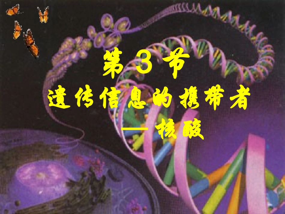 授课23遗传信息的携带者——核酸课件2（人教版必修1）_第2页