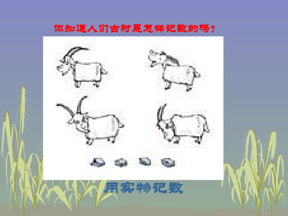 数的产生和十进制计数法(1)_第3页