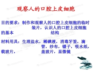 人口腔上皮细胞课件