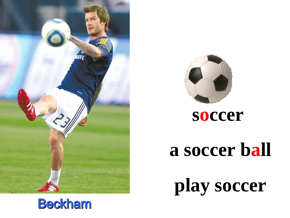 新目标英语七年级上册第五单元SectionA课件_第3页