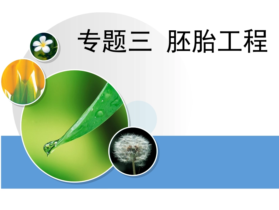 体内受精和早期胚胎发育(上课用)_第2页