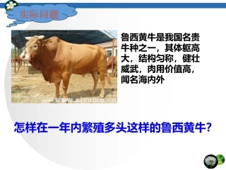 体内受精和早期胚胎发育(上课用)