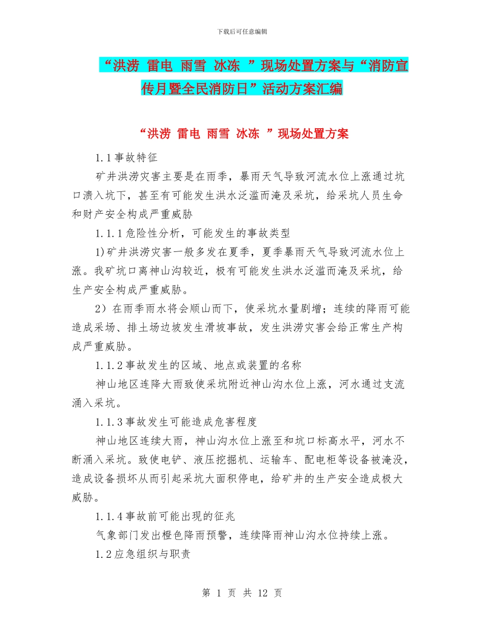 “洪涝-雷电-雨雪-冰冻-”现场处置方案与“消防宣传月暨全民消防日”活动方案汇编_第1页