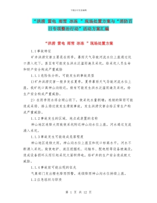 “洪涝-雷电-雨雪-冰冻-”现场处置方案与“消防百日专项整治行动”活动方案汇编