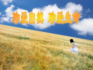 人教版_小学三年级品德与社会《认识自然》课件