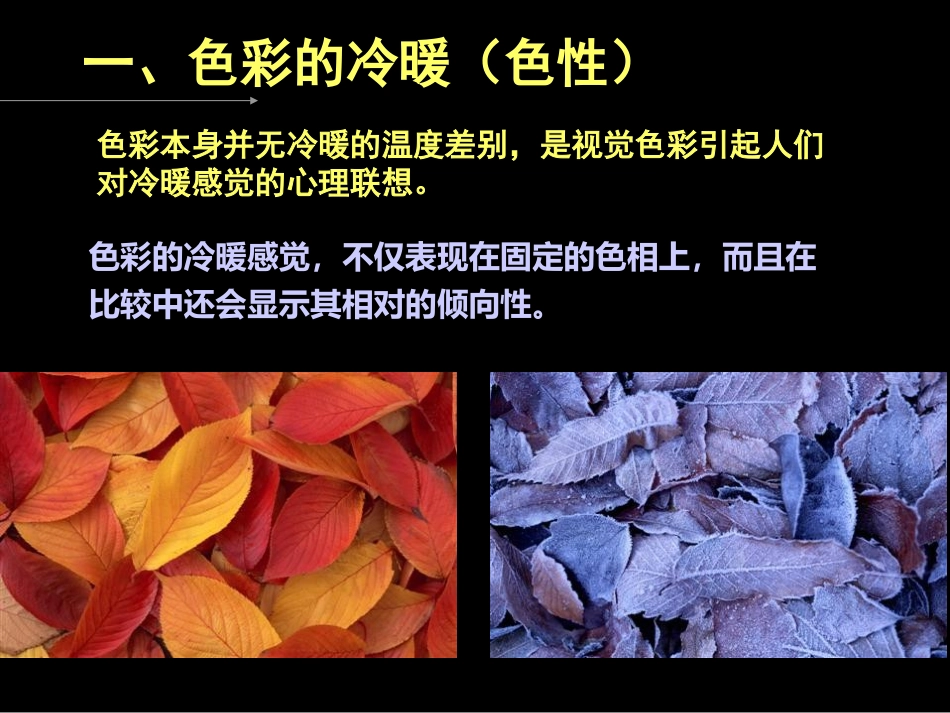 七年级下册色彩的魅力_第3页