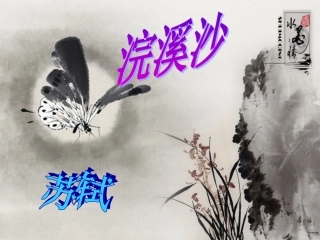 用__苏轼《浣溪沙》毛洁