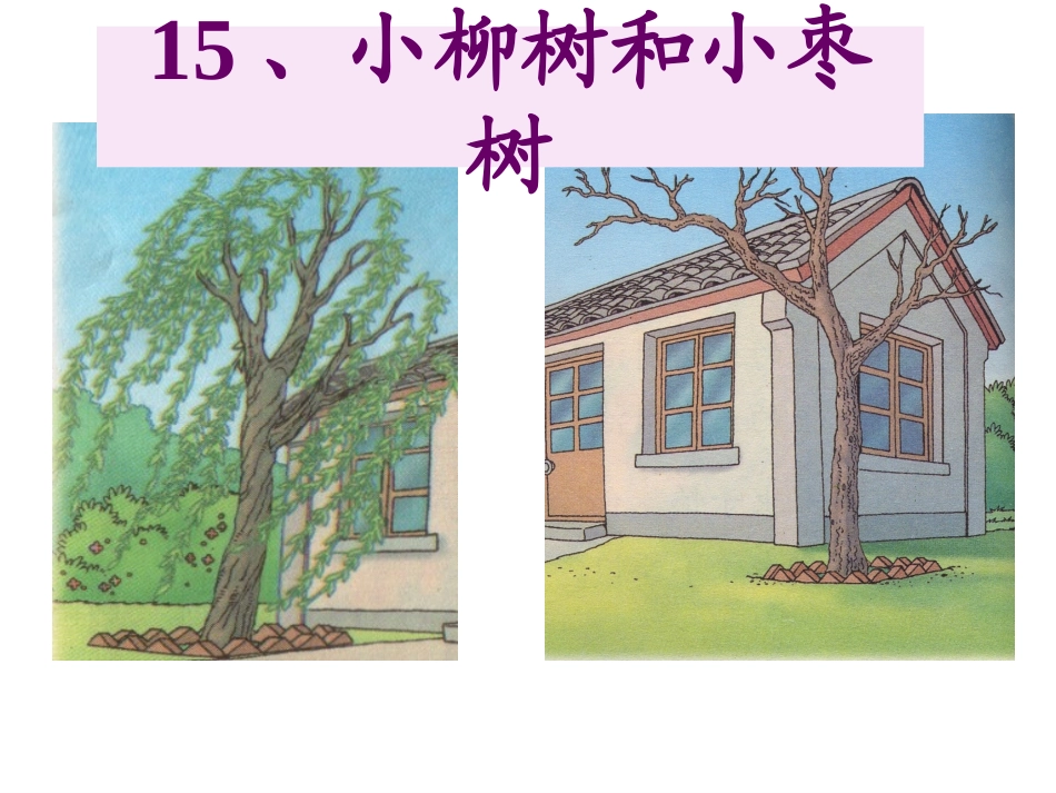 小柳树和小枣树 (4)_第1页