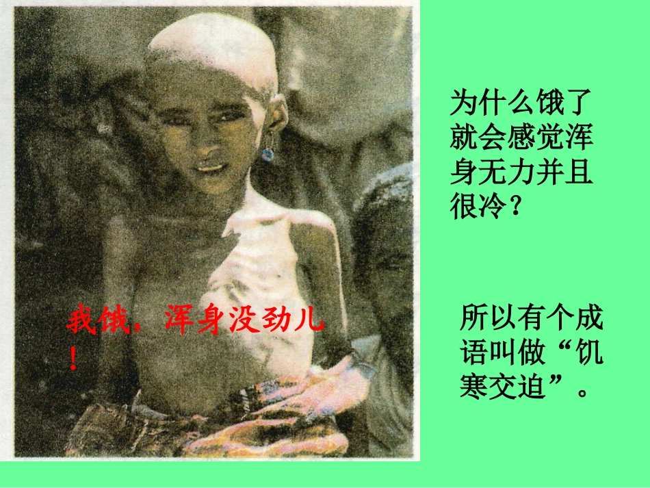 营养物质的作用(苏科版)_第3页