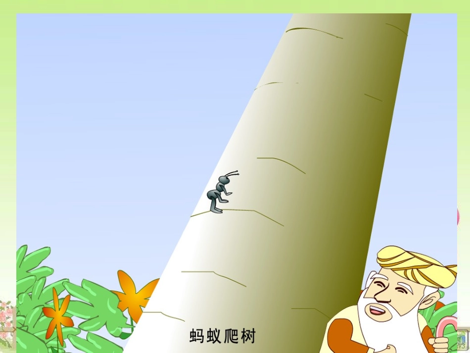 《上天的蚂蚁》课件_第2页