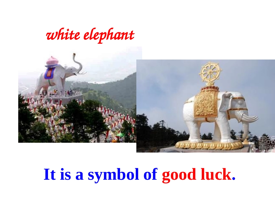 unit5_Why_do_you_like_pandas_section_B_第二课时_第3页
