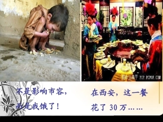 九年级政治关注弱势群体2