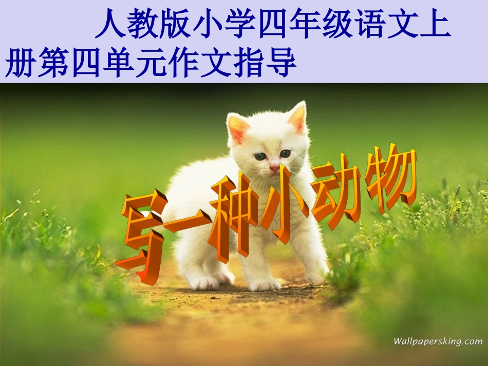 我喜欢的小动物 (2)_第1页