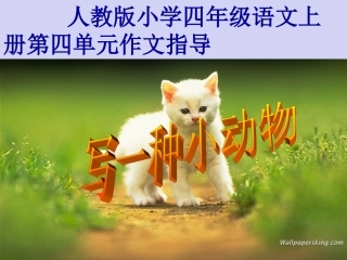 我喜欢的小动物 (2)